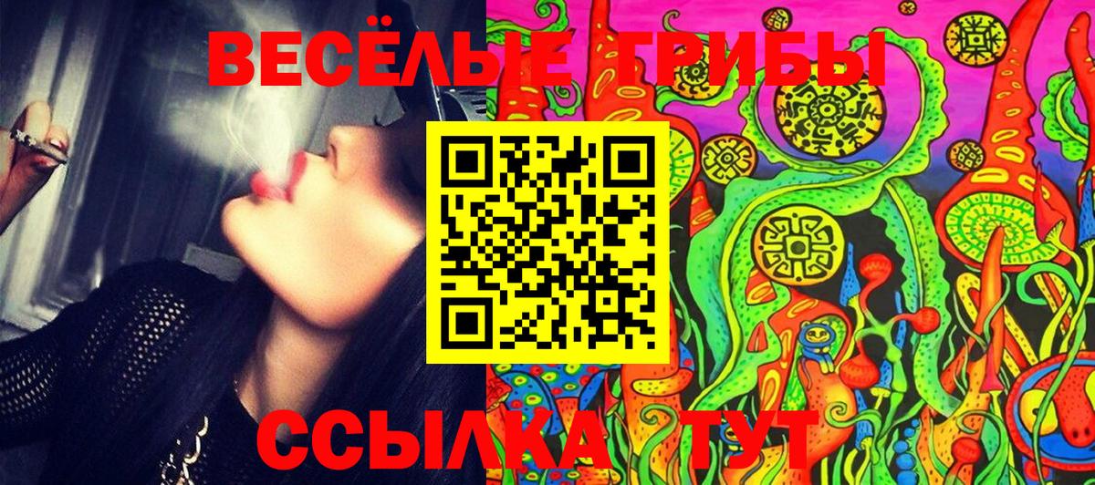 Псилоцибиновые грибы ЛСД Гай